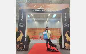 ULTRA TRAIL SERRA DA FREITA 2025
